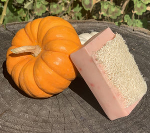 "Pumpkin Spice" Handmade Goat's Milk Moisturizing Luffa Soap 4oz Bar