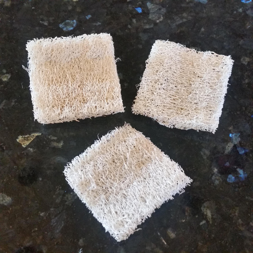 All Natural Pre-Cut Luffa Squares 3-Pack – Luffa Gardens