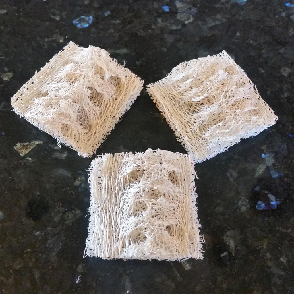 All Natural Pre-Cut Luffa Squares 3-Pack – Luffa Gardens