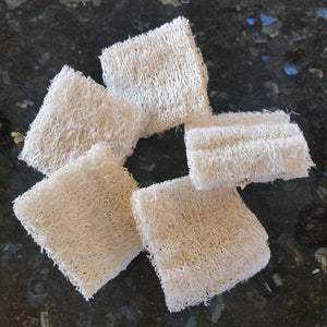 All Natural Pre-Cut Luffa Squares 5-Pack – Luffa Gardens